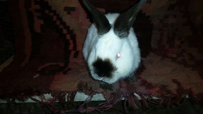 20150209_190850; M1 - vandut
