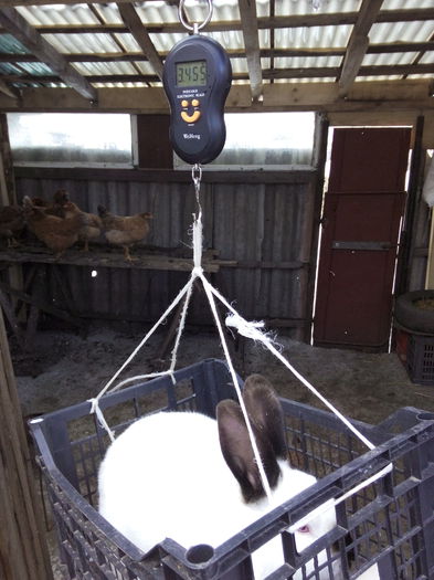 4 luni si o saptamana; 4 luni si o saptamana
