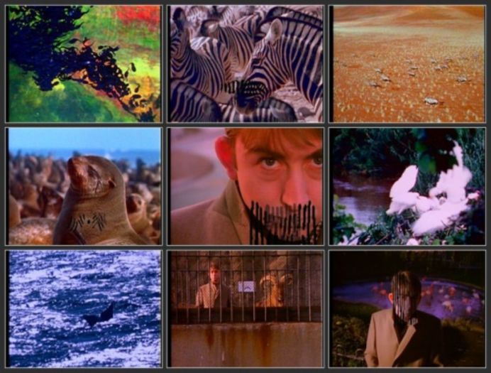 Talk Talk - Talk Talk