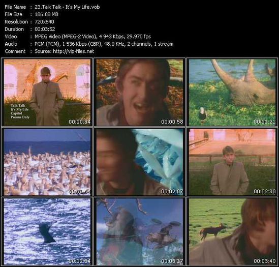 Talk Talk - Talk Talk