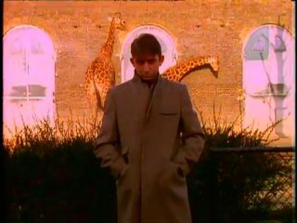 Talk Talk - Talk Talk