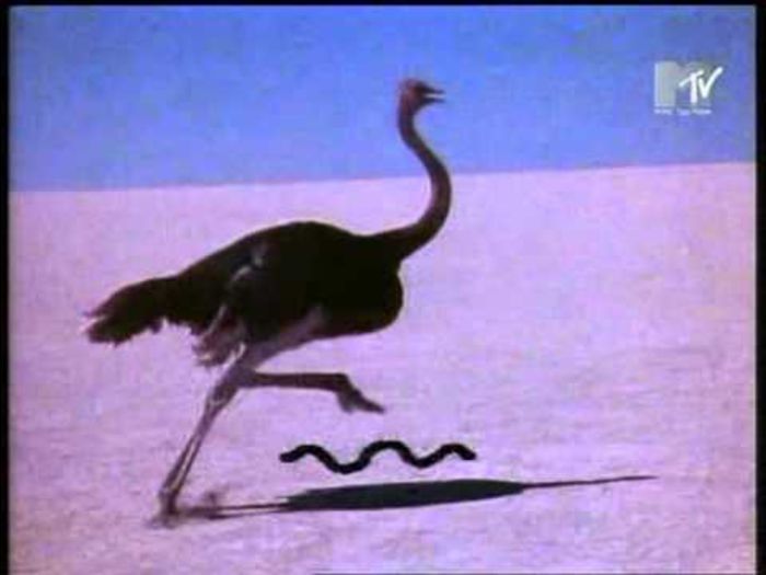Talk Talk - Talk Talk