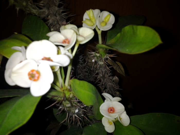 20150210_151644