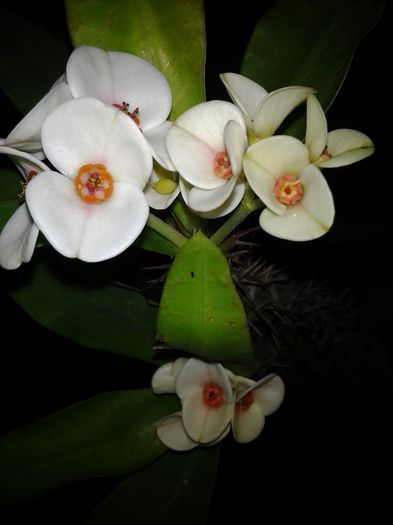 20150210_151621