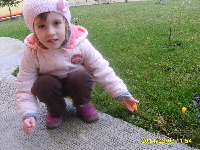 AU INFLORIT   BRANDUSELE