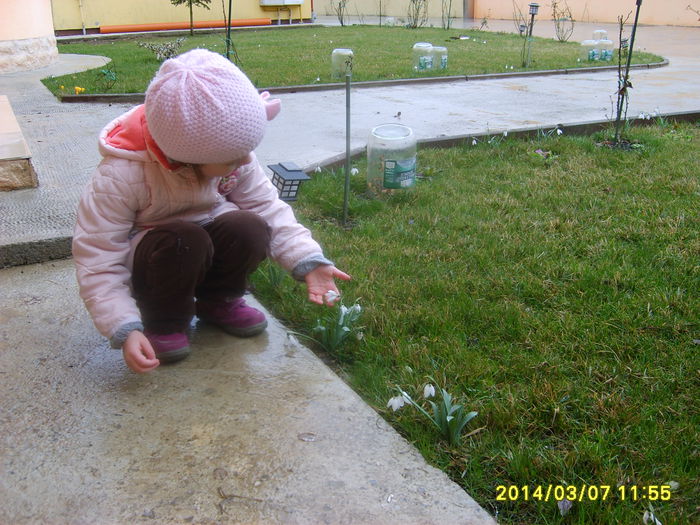 CE FRUMOSI   SUNT GHIOCEII