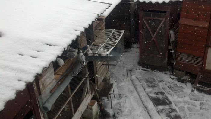 2015-02-08_14-02-24_165