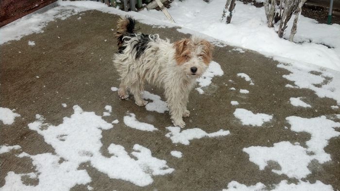 2015-02-08_14-07-07_365