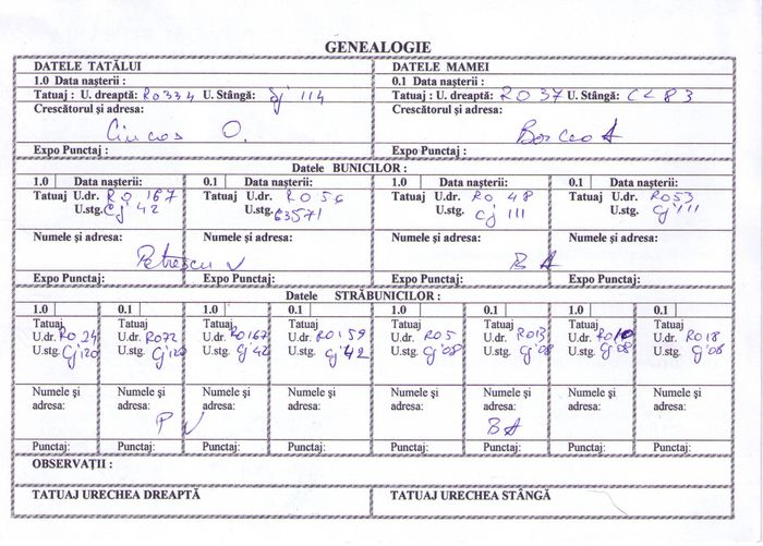 UT-F1_RO96-CL114_pag.2; Femela 1 -certif-pag.2
