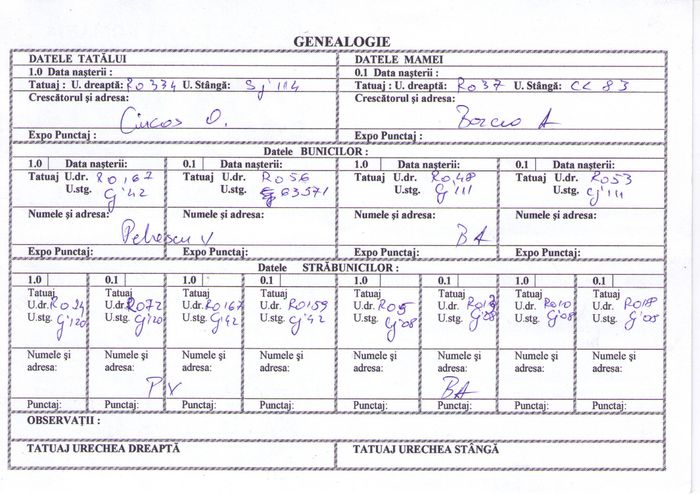 UT-F3_RO98-CL114_pag.20; Femela 3 -certif-pag.2
