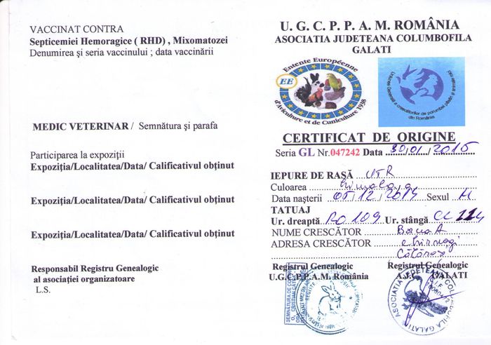 UT-M1_RO109-CL114_pag.10; Mascul 1 -certif-pag.1
