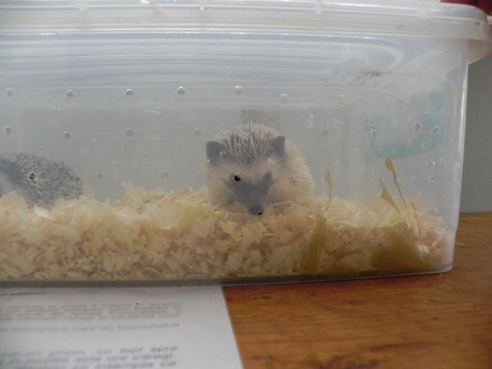 10965000_1553578281571204_1769552232_o - Copy