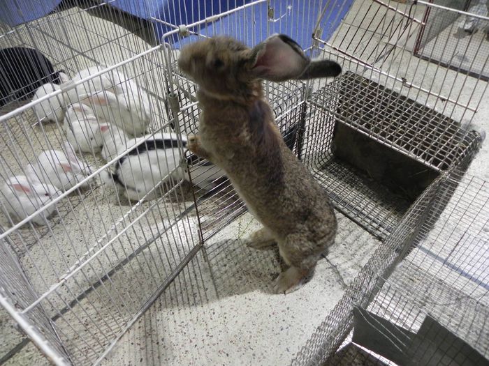 10965083_1553577438237955_656217894_o