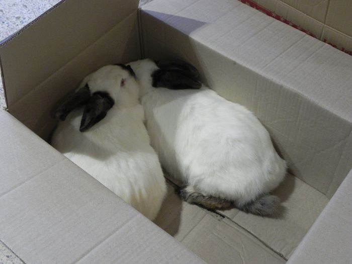 10967445_1553577208237978_2135963874_o