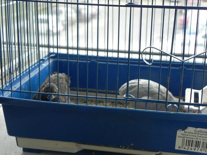 10969015_1553577941571238_517760348_o