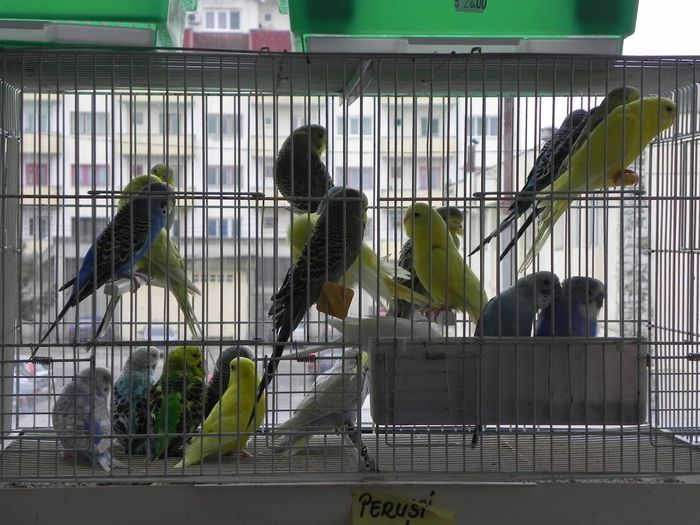 10969327_1553577938237905_473337642_o