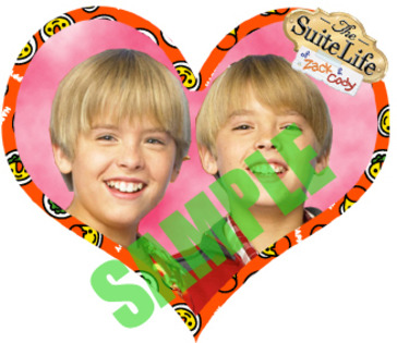 zack and cody3 for sale ebay