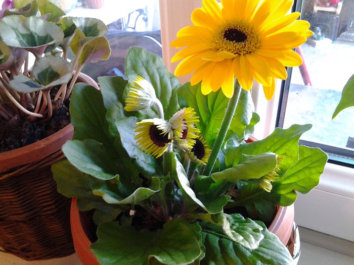 20150211_115504