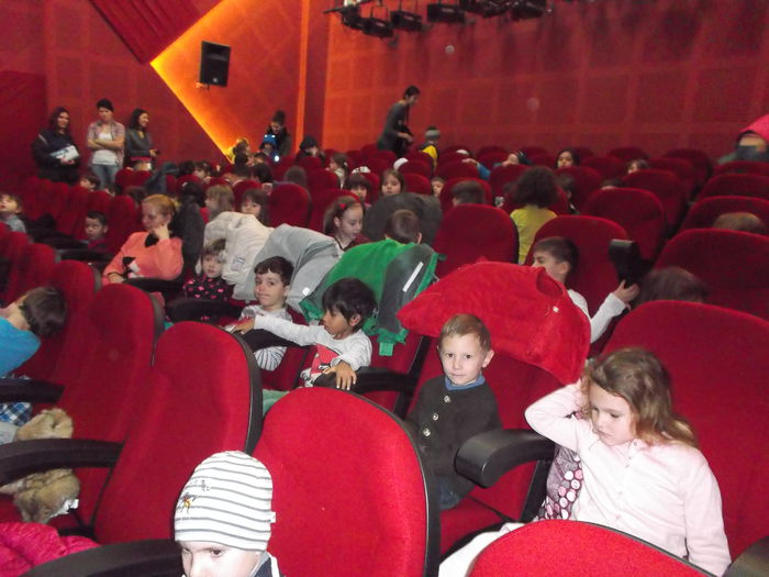 IN MOL LA CINEMA - TEUTA ACTIVITATI LA GRADI