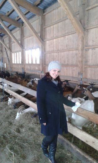 20150210_090606 - In Austria la ferma de capre