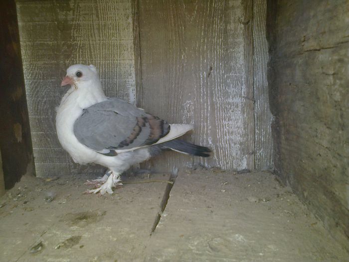 Imag 012976