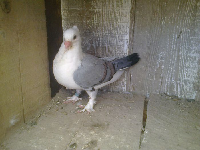 Imag 012977
