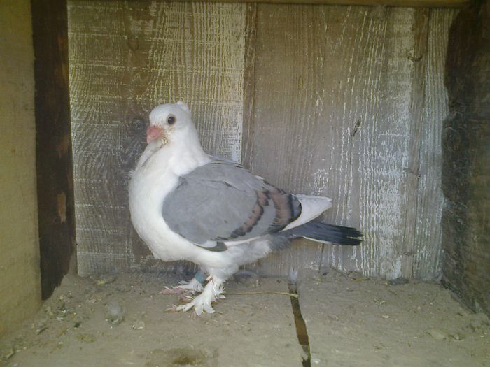 Imag 012975
