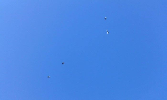 10961930_786795634732420_1260463644_n