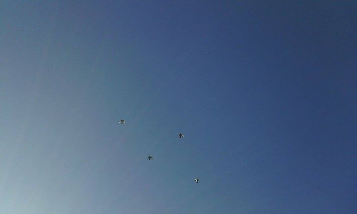 10966846_786795648065752_795108507_n