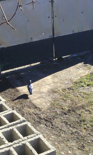 10966993_786795394732444_1819411737_n