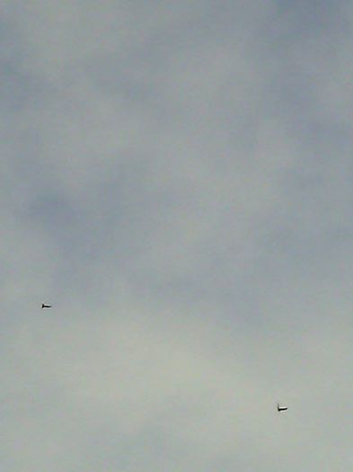 10967791_780739355338048_2038841054_n