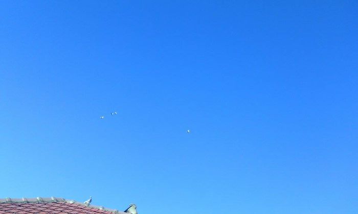 10984642_786795558065761_815893242_n