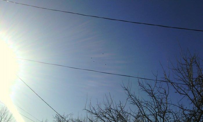 10994783_786795564732427_1326485413_n