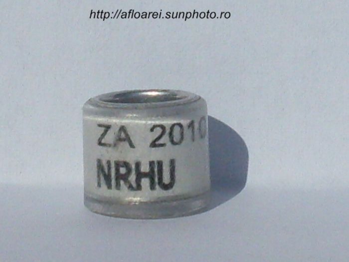 za nrhu 2010