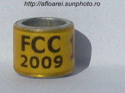 fcc 2009