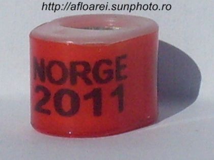 norge 2011 - NORVEGIA