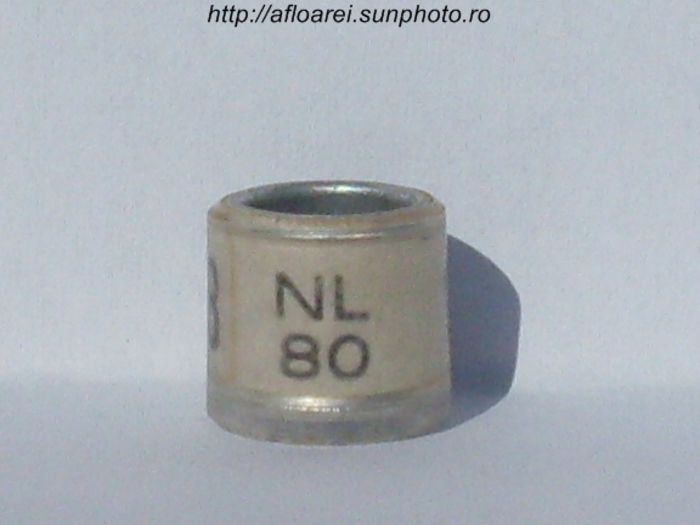 nl 80