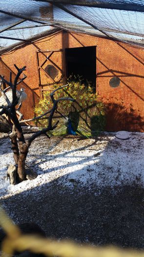 20150212_141711