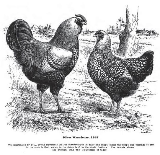 1488685_730406243741058_2186914275187659225_n