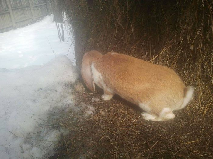 10979302_769972613098918_1735064607_n