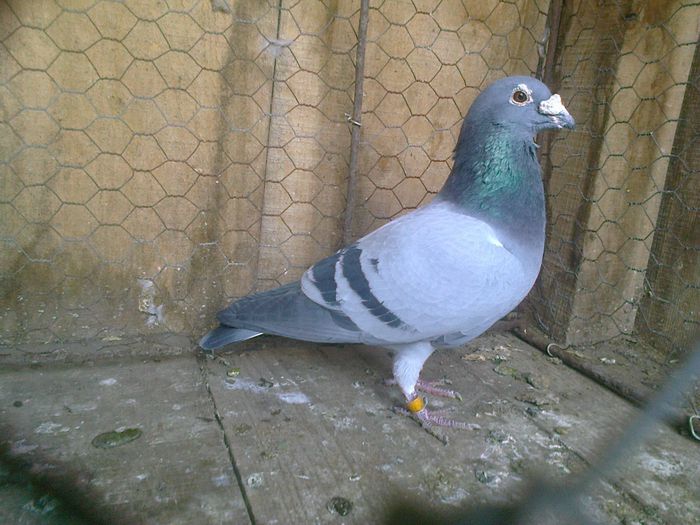 Imag 012988
