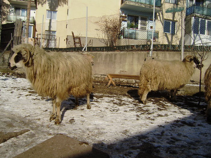 P2100778