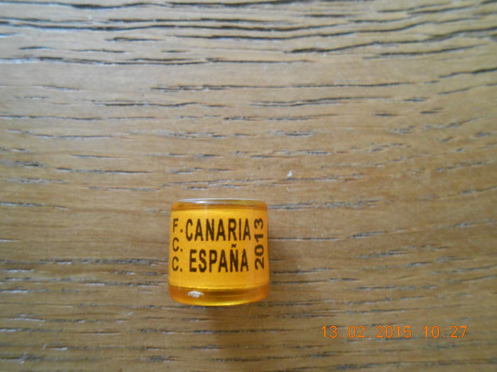 F. CANARIA C.C. ESPANA 2013 - CANARIA   SPANIA