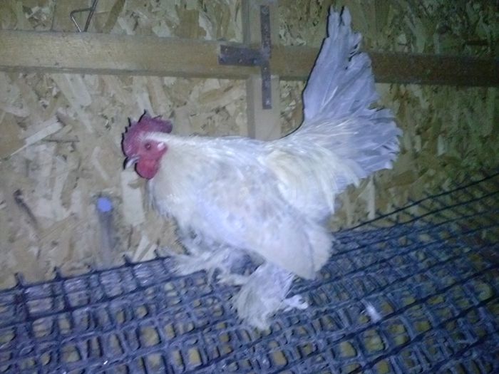 de la domnul sorinpanait caruia ii multumesc frumos; De la domnul sorinpanait caruia ii multumesc frumos
