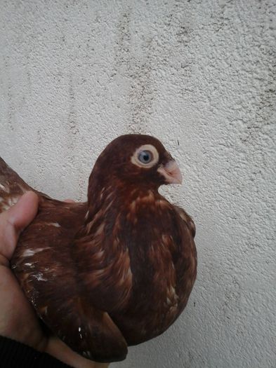 11002070_937674012933379_1595824927_o