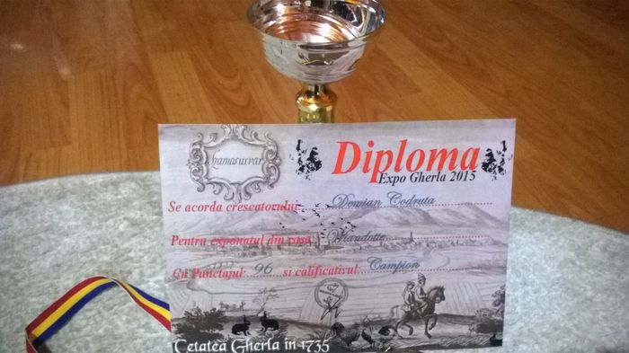 WP_20150213_002 - BRAHMA HERMINAT DESCHIS