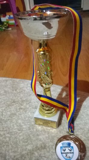 WP_20150213_004 - BRAHMA HERMINAT DESCHIS