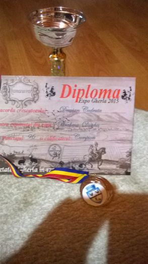 WP_20150213_001 - BRAHMA HERMINAT DESCHIS