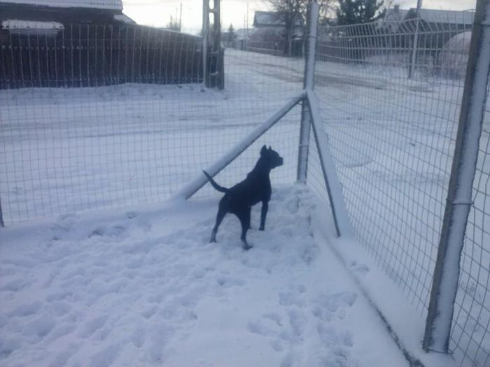 10940534_1586672008236197_1082973318941663110_n