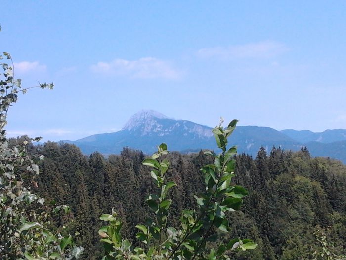 piatra craiului - PEISAJE DIN ZONA RUCARULUI